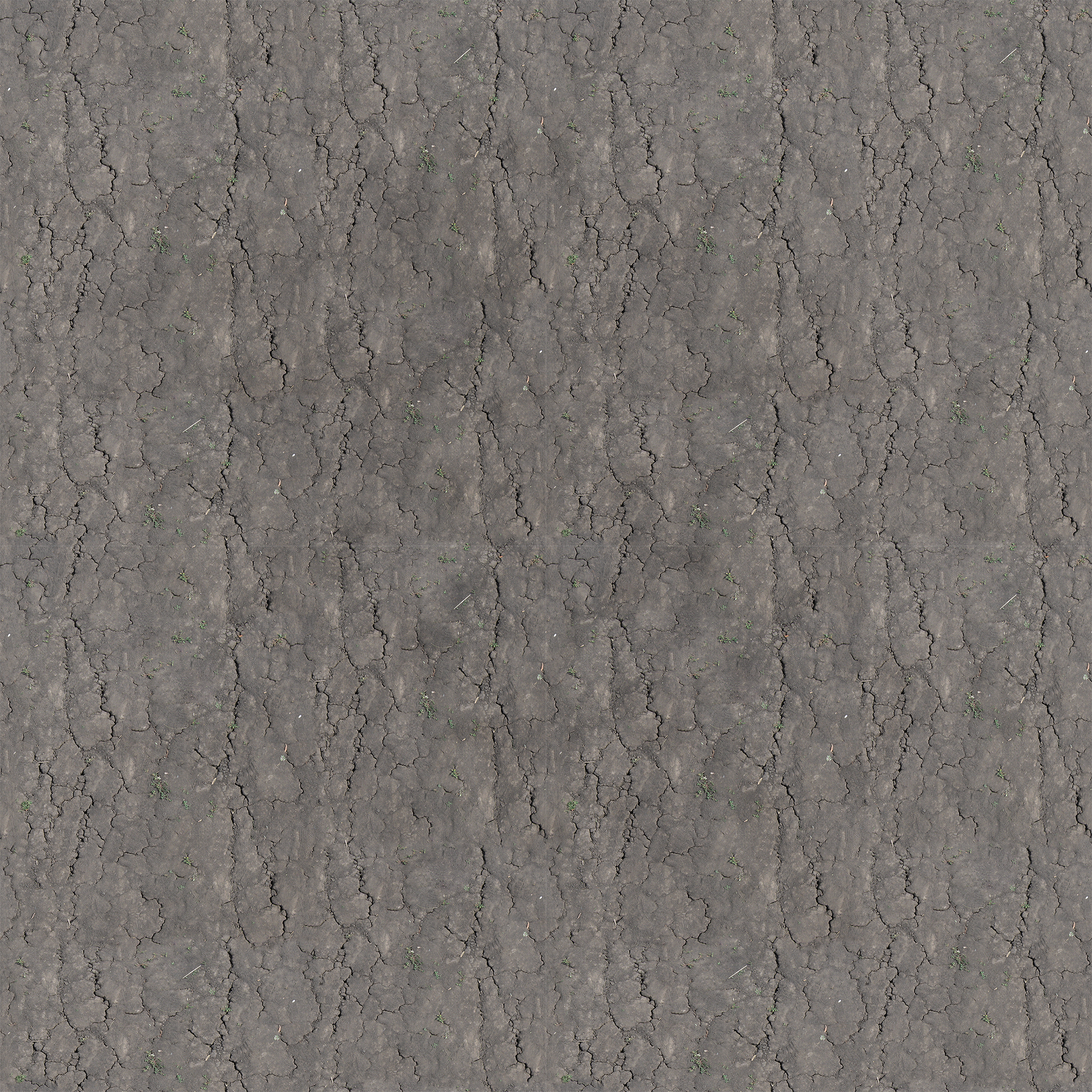 GroundCracked01.png