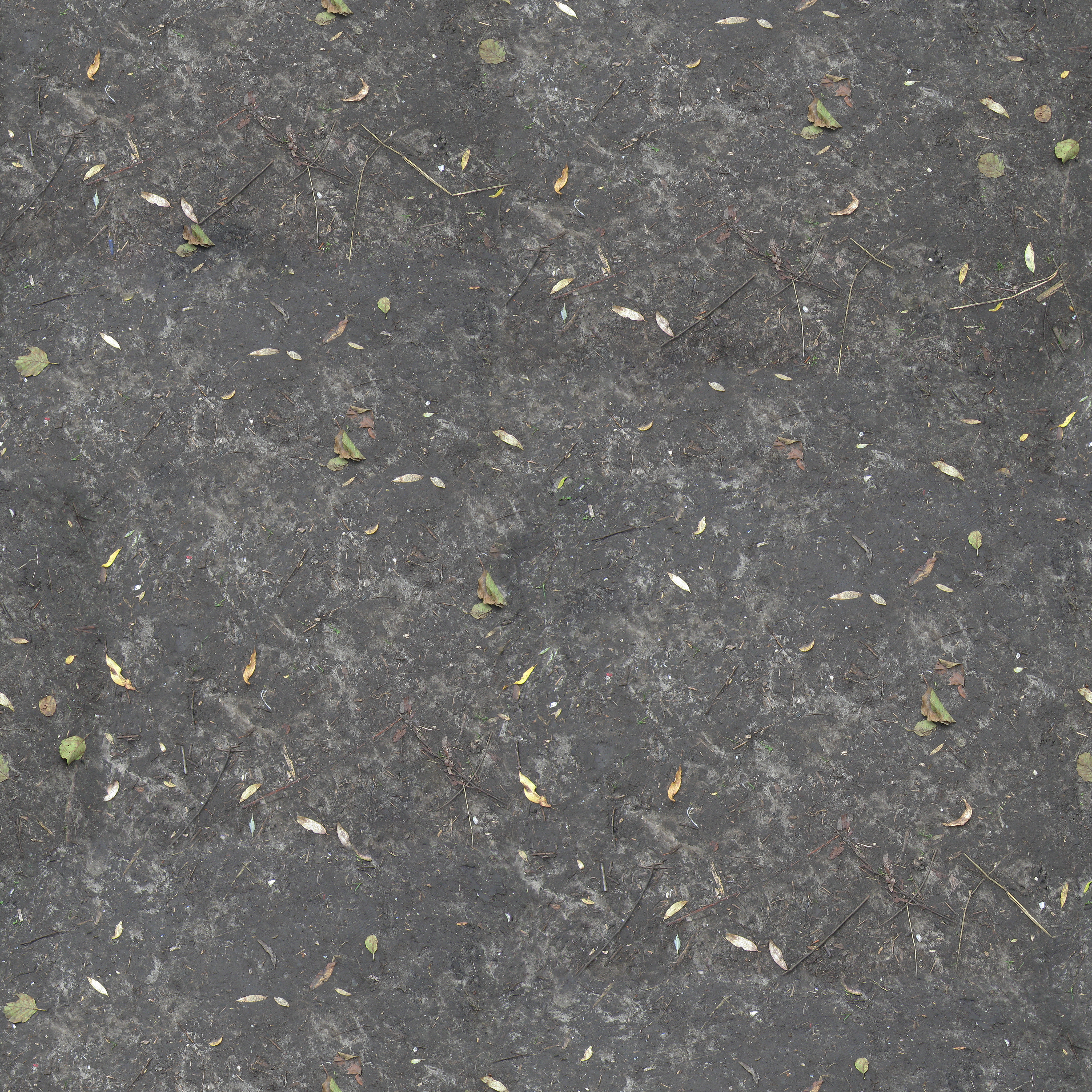 GroundDryLeaves01.png