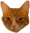 cathead.png